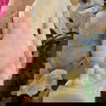 Hollohaza porcelain figurine of a nude woman like new