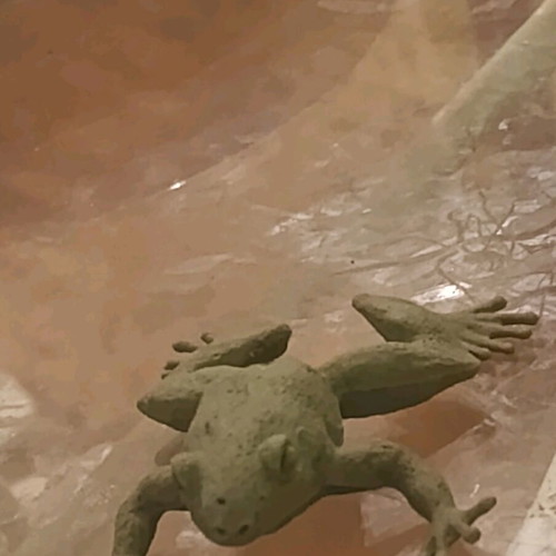 Flexible Plastic Frog Toy used, green color