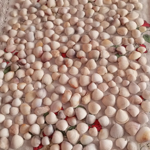 Sea decorative elements like new for crafts and home decoration