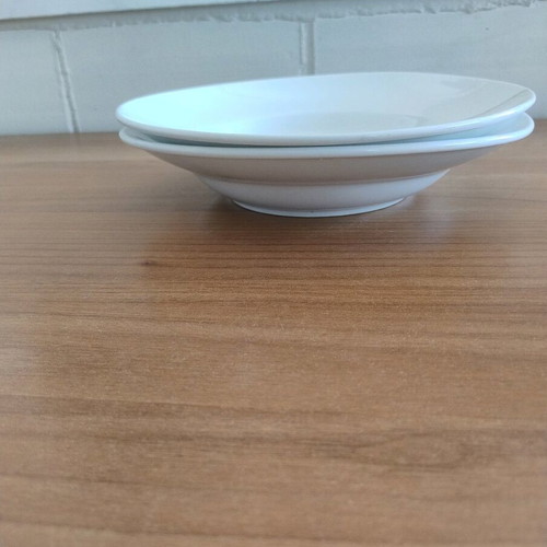 Steinbach set of 2 large soup and shallow serving plates like new