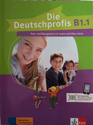 Deutschprofis B1.1 Language Learning Book like new, German