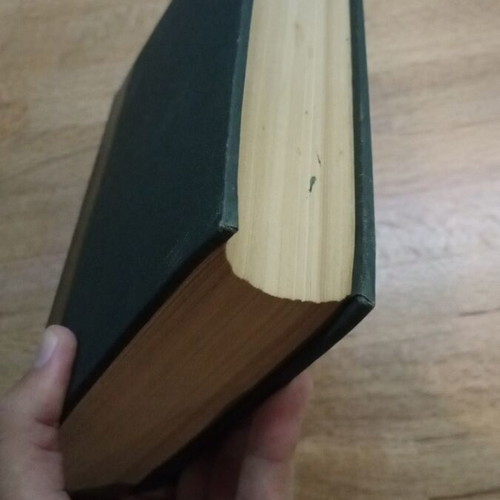 Leonardo da Vinci book by D Mereskofsky, hardcover