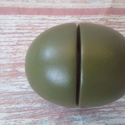 Wooden segmented kiwi fruit like new