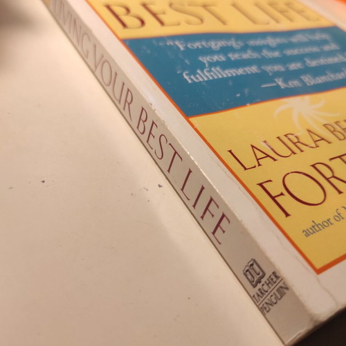 Living Your Best Life by Laura Berman Fortgang used, philosophical essay