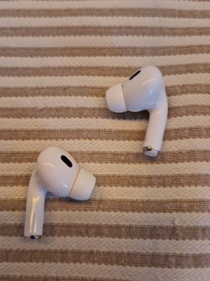 Bluetooth earbuds used with Lightning charging case