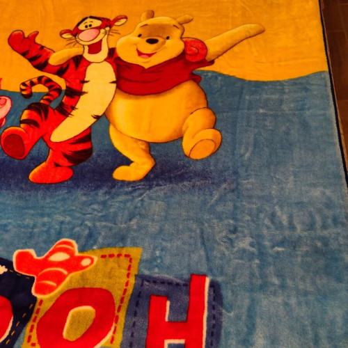 Manterol Disney children's blanket used 1.60x2.20 velour with design