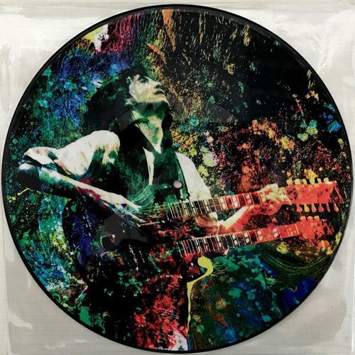 Led Zeppelin Kashmir Picture Disc vinyl new, Limited Edition Mexico