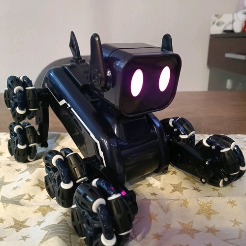 Robot Dog New Remote Control Space Toy 2025