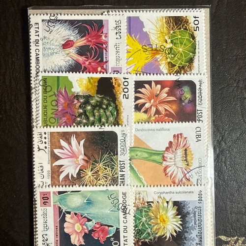 Lot of 50 new cactus plant stamps