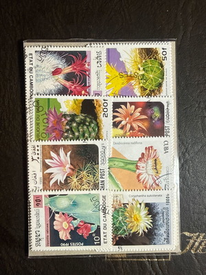 Lot of 50 new cactus plant stamps
