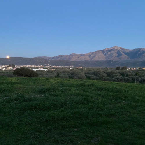 Professional Land Plot 4,180 m² in Galeniano Kastelli, Crete
