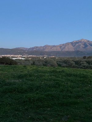 Professional Land Plot 4,180 m² in Galeniano Kastelli, Crete