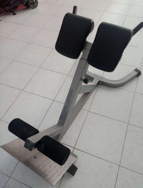 Οργανο γυμναστικής για ραχιαίους Health Sports