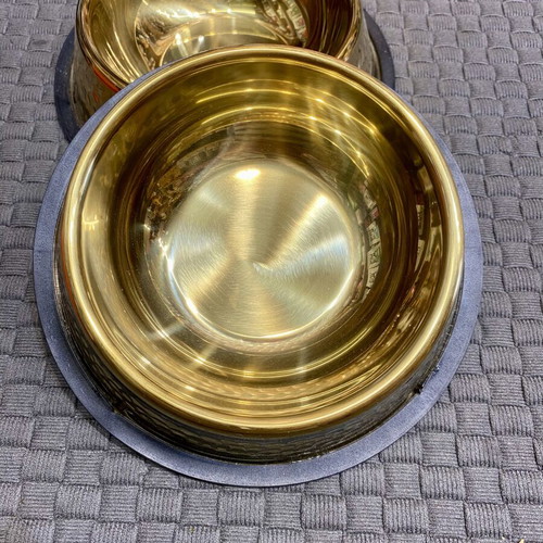 Set of 2 Luxury Bowls for Dog, Cat, or Small Pets, New