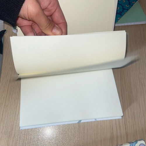 Notebooks new with white pages