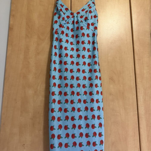 Ioli dress Hemithea, blue with red rose pattern, size small