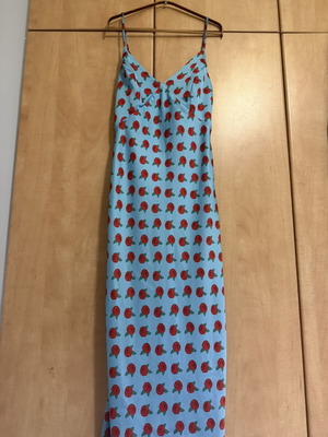 Ioli dress Hemithea, blue with red rose pattern, size small