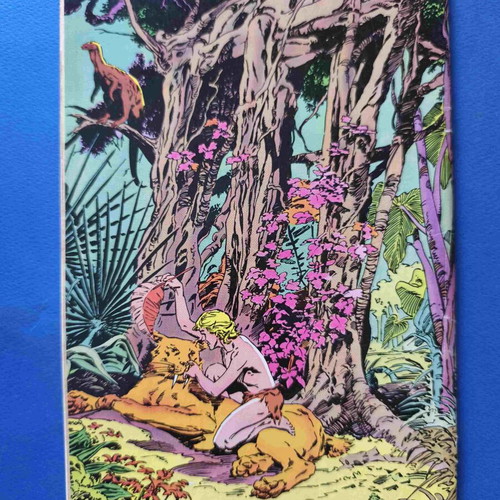 Kazar Ka-zar the Savage 20 comic used, English