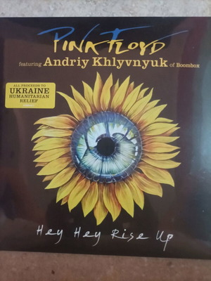 pink Floyd vinyl