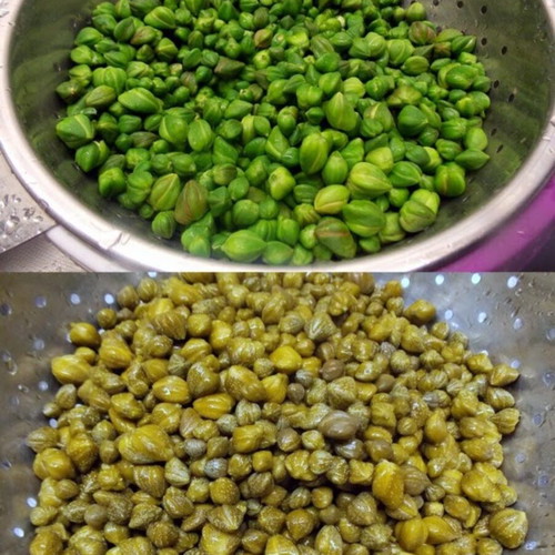 Capers Chiou 1 kilo