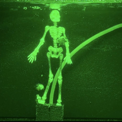 Dancing Skeleton for Aquarium 3D printed, made to order