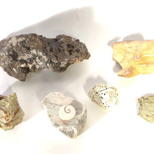 Pack of 6 unique stones for collection and decoration