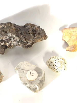 Pack of 6 unique stones for collection and decoration