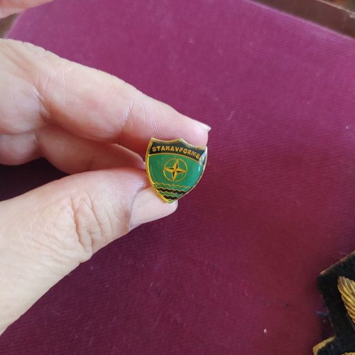 Vintage NATO lapel pin used, STANAVFORMED badge
