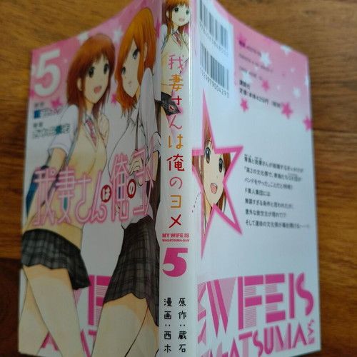 Manga My wife is Wagatsuma-san volume 5 used, Japanese edition