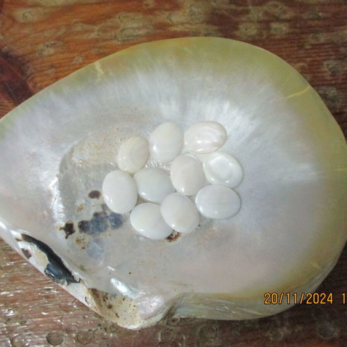 Mother of pearl M.O.R cabochons and shell pack new
