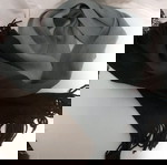κασκολ