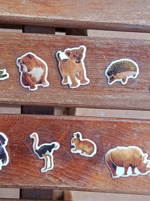 Pack of 9 animal stickers