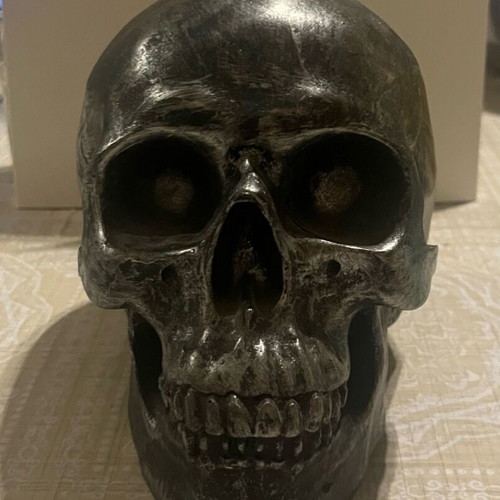 Decorative skull coin bank used, silver-gray