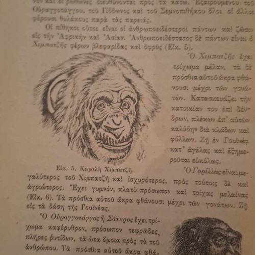 Natural History 1913 hardcover book with wood engravings