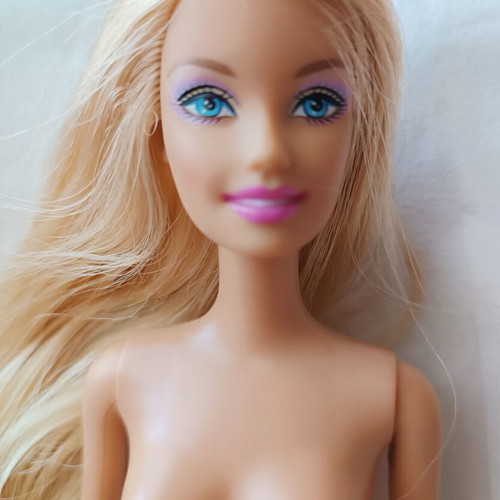 Barbie and Cheryl Tiegs dolls