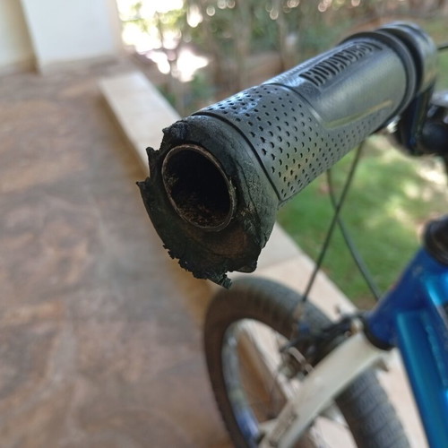 Royal Baby 16" mountain bike used, blue, with training wheels