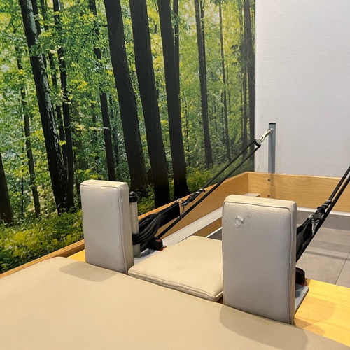 Pilates Reformer bed used with 5 resistances Artaction