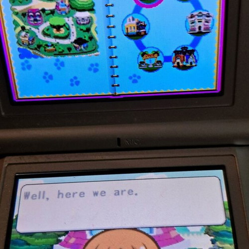 My Pet Shop Nintendo DS game like new, simulation RPG