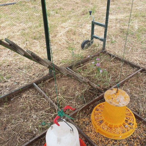 Mobile chicken coop used with automatic timer door
