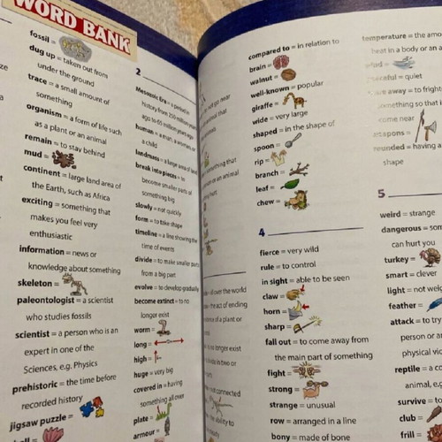 The Age of the Dinosaurs book new for English beginners