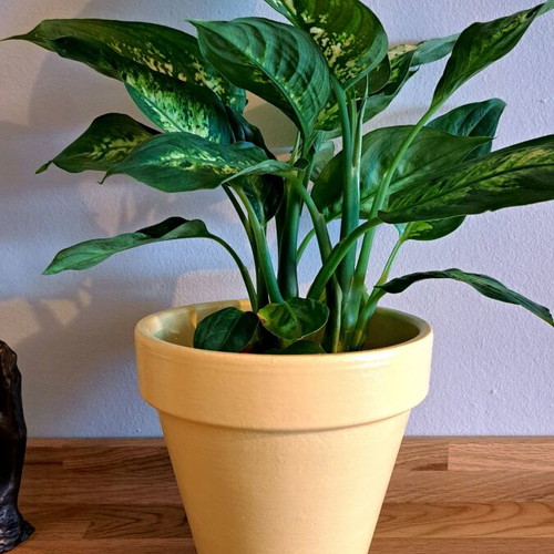 Clay flowerpot new yellow pastel hand-painted 15cm height