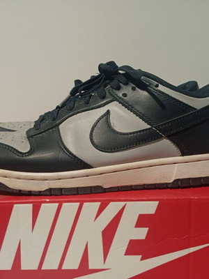 Nike Dunk Low Georgetown used, rare colorway, size 43