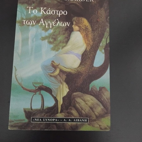 Book The Castle of Angels used, in very good condition