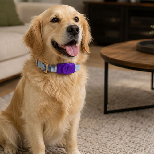 AirTag Holder for Dog Collar Compatible with Apple AirTag