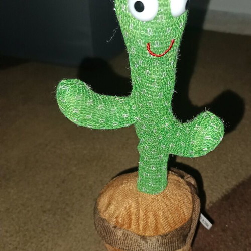 Children's cactus toy new that moves and sings