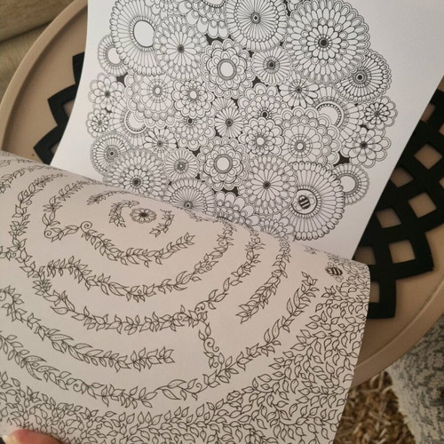 Secret Garden Coloring Book like new
