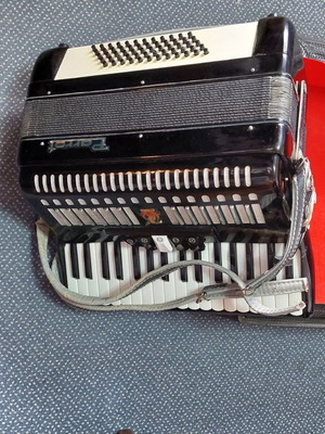 Parrot accordion