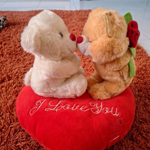 Valentine teddy bear dolls like new
