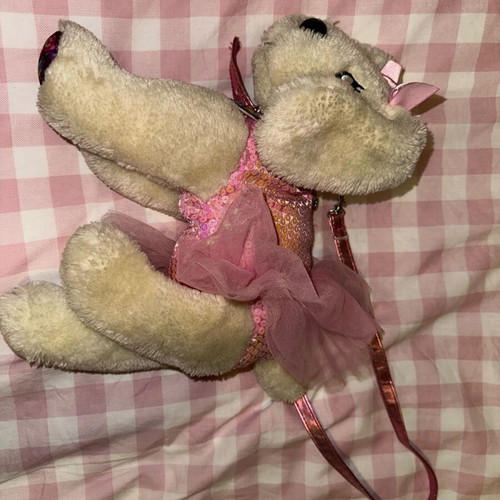 Doggie Star Puppy Bag Like New