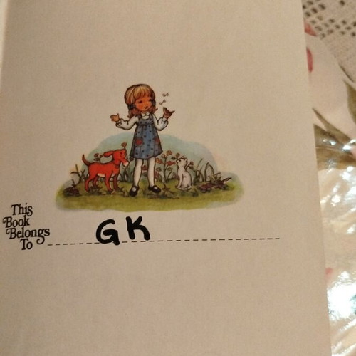 The Story of Jonah children's book like new, color illustrated in English